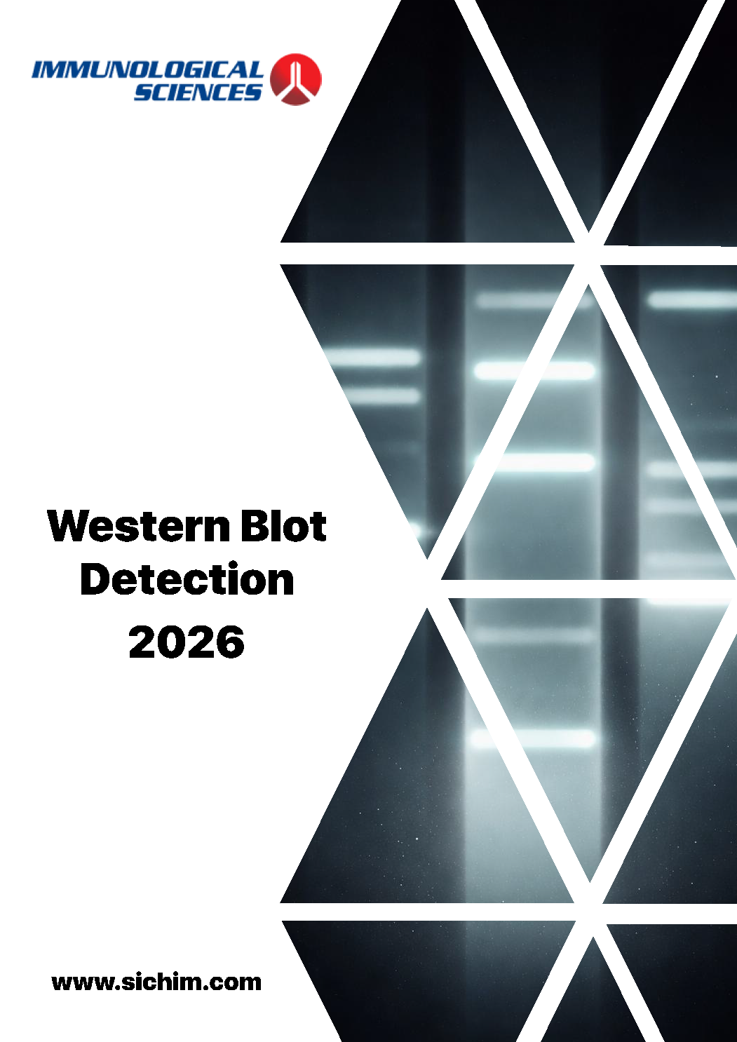 Western Blot Reagents