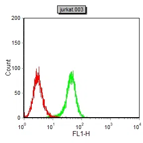Flow cytometric analysis of Jurkat cells using KRT19 mouse mAb (green) and negative control (red).