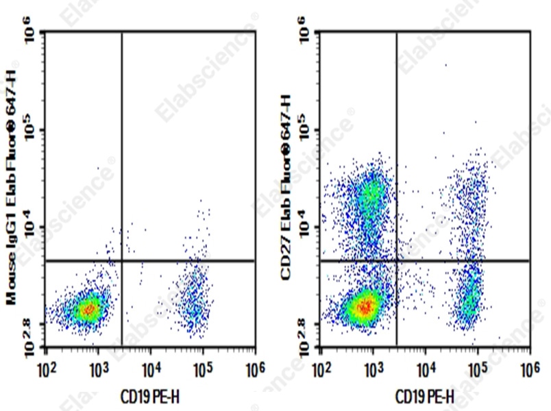 Human peripheral blood lymphocytes were stained with 0.2 μg Purified Anti-Human CD27 Antibody[O323] (Right) and 0.2 μg Mouse IgG1, κ Isotype Control (Left), followed by Alexa Fluor® 647-conjugated Goat Anti-Mouse IgG Secondary Antibody, then anti-Human CD19 PE-conjugated Monoclonal Antibody.