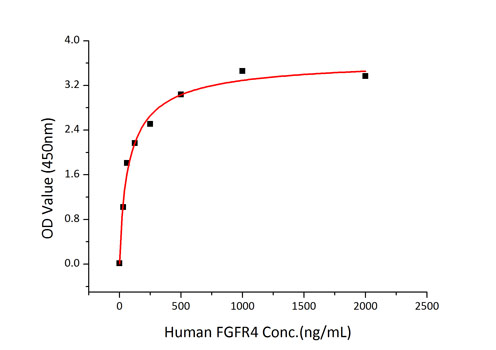 Immobilized recombinant human FGF2 at 1 μg/mL (100 μL/well) can bind recombinant human FGFR4 with a linear range of 30-125 ng/mL.