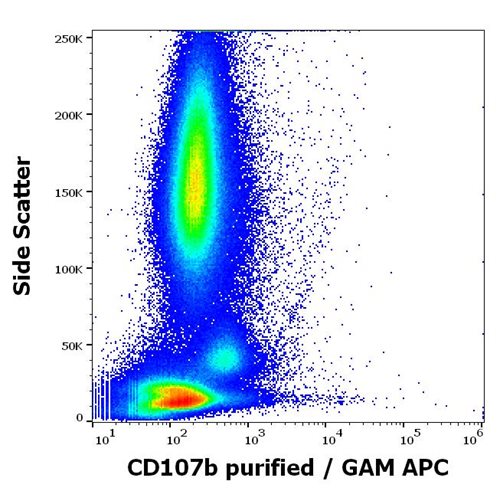 Flow cytometry surface staining pattern of human anti-IgE antibody stimulated peripheral whole blood stained using anti-human CD107b (H4B4) purified antibody (concentration in sample 1,67 μg/ml, GAM APC)
