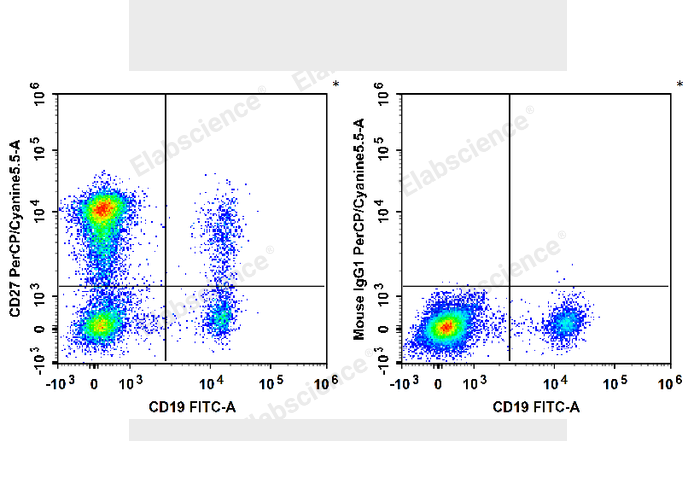 Human peripheral blood lymphocytes are stained with FITC Anti-Human CD19 Antibody and PerCP/Cyanine5.5 Anti-Human/Monkey CD27 Antibody (Left). Lymphocytes are stained with FITC Anti-Human CD19 Antibody and PerCP/Cyanine5.5 Mouse IgG1, κ Isotype Control (Right).