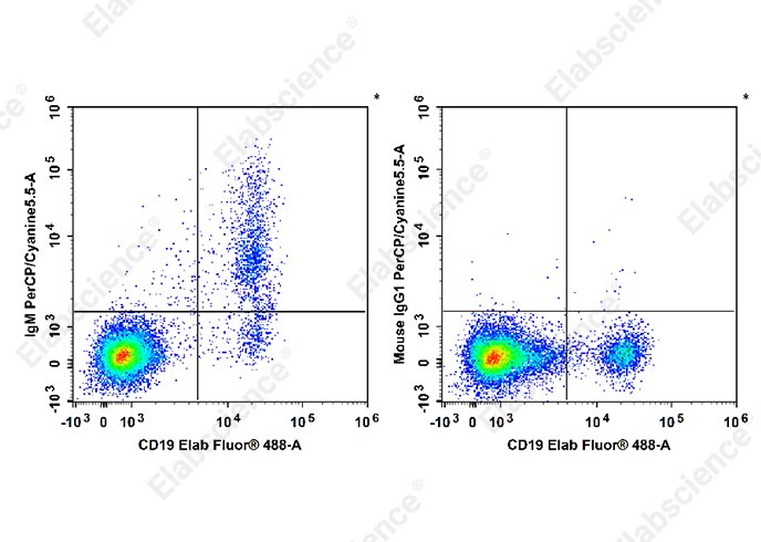 Overnight cultured human peripheral blood lymphocytes are stained with 488 Anti-Human CD19 Antibody and PerCP/Cyanine5.5 Anti-Human IgM Antibody[MHM-88] (Left). lymphocytes are stained with 488 Anti-Human CD19 Antibody and PerCP/Cy5.5 Mouse IgG1, κ Isotype Control (Right).
