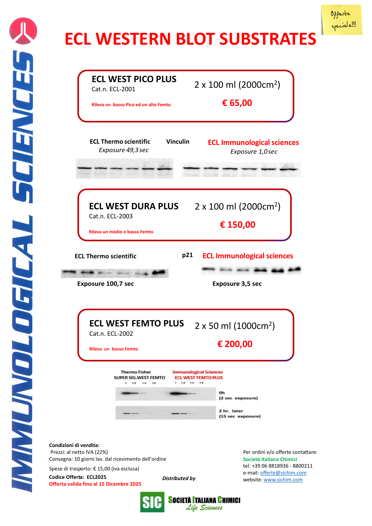 ECL WESTERN BLOT SUBSTRATES