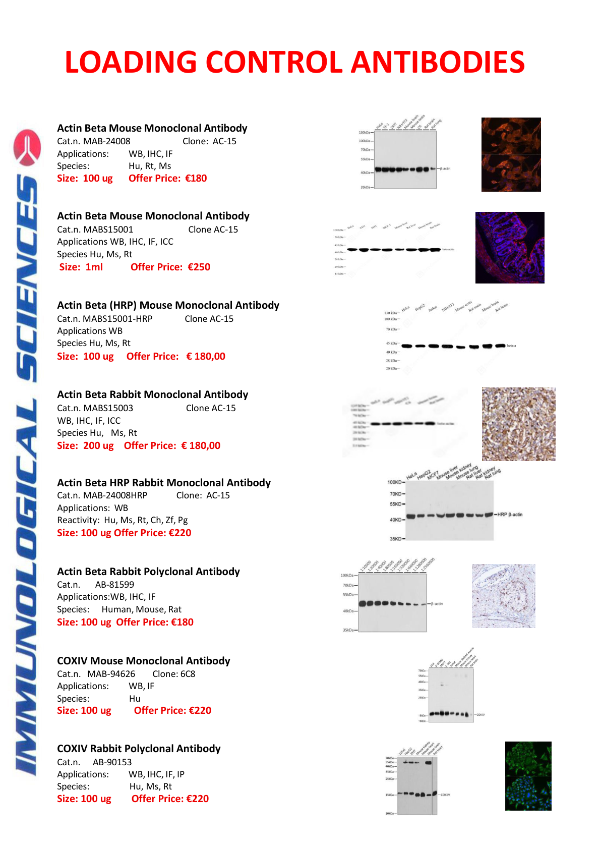 Loading Control Antibodies