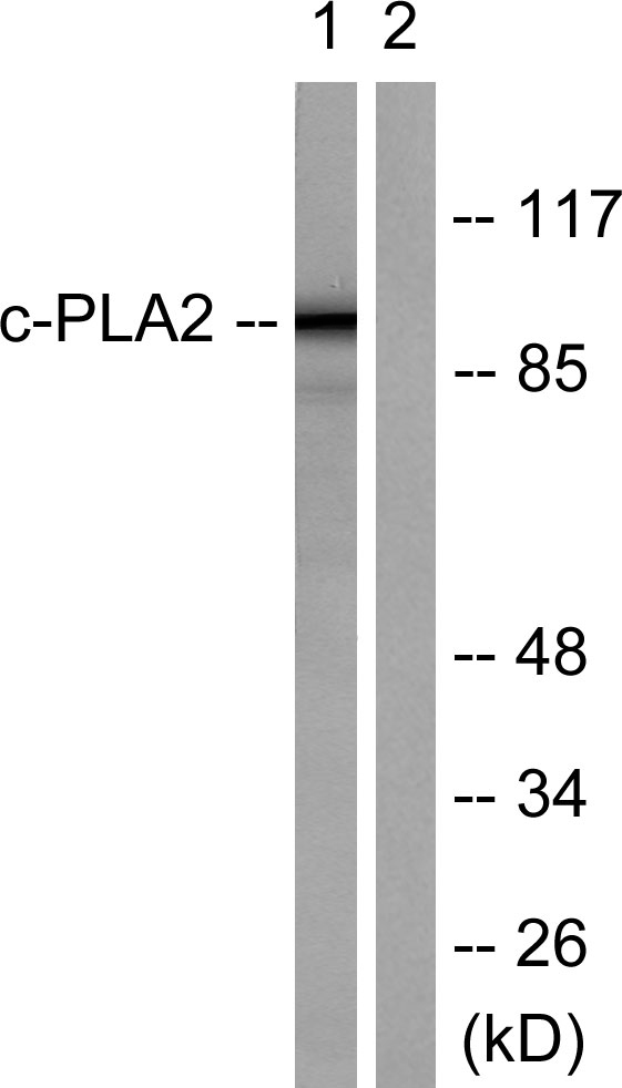 AB-81803-5