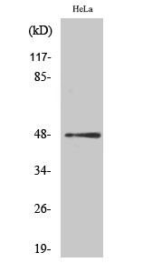 ABP-0048-2