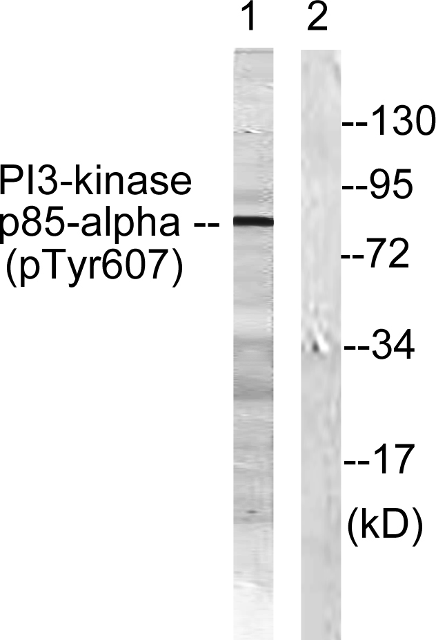 ABP10906-3