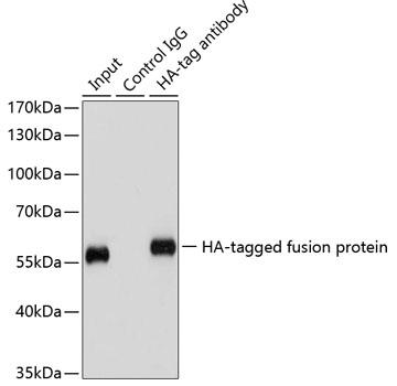 MAB-91878-3.jpg