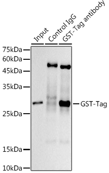 MAB-91898-2