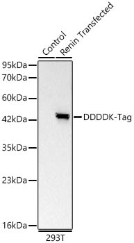 MAB-94419-2