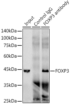 MAB-94759-2