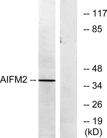 AB-E3766-2