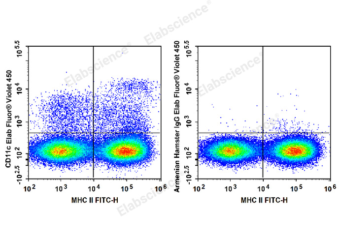 C57BL/6 murine splenocytes are stained with FITC Anti-Mouse MHC II Antibody and brightViolet 450 Anti-Mouse CD11c Antibody (Left). Splenocytes are stained with FITC Anti-Mouse MHC II Antibody and Bright Violet 450 Armenian Hamster IgG Isotype Control (Right).