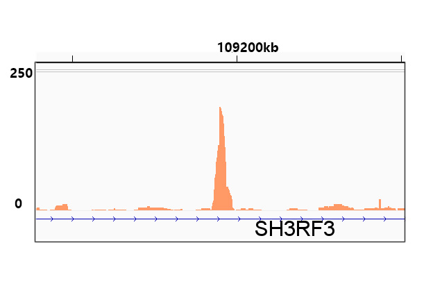 Chromatin immunoprecipitation was performed with 21.8 μg of cross-linked chromatin from 293T cells transfected with a GATA3 expression vector containing a single C-terminal DDDDK-Tag using 5 μg of Rabbit anti DDDDK-Tag. DNA libraries were prepared using Scale ssDNA-seq Lib Prep Kit for Illumina V2. The ChIP sequencing results indicate the enrichment pattern of DDDDK-Tag in the representative genomic region surrounding SH3RF3 gene.