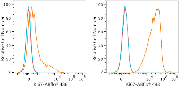 Flow cytometry: 1X10^6 C57BL/6 mouse splenocytes (Low Expression,left) and RAW 264.7 cells (right) were intracellularly-stained with Alexa Fluor 488 Rabbit anti-Mouse Ki67 mAb (5 μl/Test,orange line) or Alexa Fluor 488 Rabbit IgG isotype control (5 μl/Test,blue line). Non-fluorescently stained cells were used as blank control (red line).