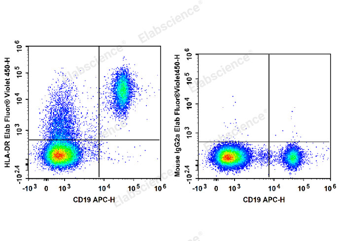 Human peripheral blood lymphocytes are stained with APC Anti-Human CD19 Antibody and BrightViolet 450 Anti-Human HLA-DR Antibody (Left). Lymphocytes are stained with APC Anti-Human CD19 Antibody and BrightViolet 450 Mouse IgG2a, κ Isotype Control (Right).