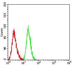 Flow cytometric analysis of Jurkat cells using NEFL mouse mAb (green) and negative control (red).