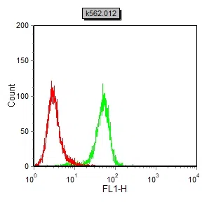 Flow cytometric analysis of k562 cells using SYT1 mouse mAb (green) and negative control (red).