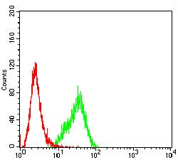 Flow cytometric analysis of Hela cells using NCAM1 mouse mAb (green) and negative control (red).
