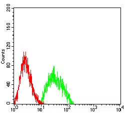 Flow cytometric analysis of SK-N-SH cells using NEFH mouse mAb (green) and negative control (red).