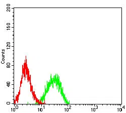Flow cytometric analysis of Jurkat cells using ALDH1L1 mouse mAb (green) and negative control (red).