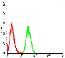Flow cytometric analysis of HepG2 cells using PARK7 mouse mAb (green) and negative control (red).
