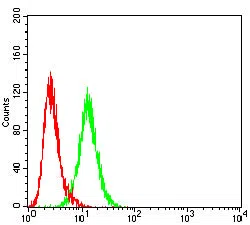 Flow cytometric analysis of LNCAP cells using DLG4 mouse mAb (green) and negative control (red).