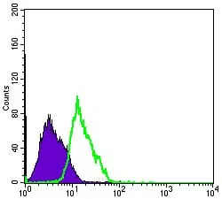 Flow cytometric analysis of PC-2 cells using MSI1 mouse mAb (green) and negative control (purple).