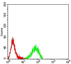 Flow cytometric analysis of Raji cells using CD140a mouse mAb (green) and negative control (red).