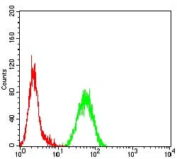 Flow cytometric analysis of Hela cells using PINK1 mouse mAb (green) and negative control (red).