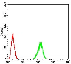 Flow cytometric analysis of Hela cells using TARDBP mouse mAb (green) and negative control (red).
