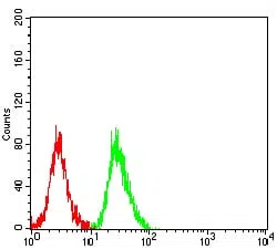 Flow cytometric analysis of SH-SY5Y cells using PRKN mouse mAb (green) and negative control (red).