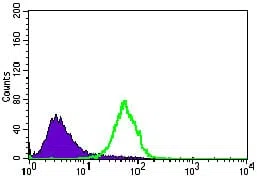 Flow cytometric analysis of HeLa cells using NES mouse mAb (green) and negative control (purple).